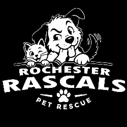 shelter logo