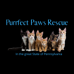 shelter logo