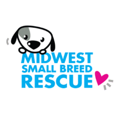 shelter logo