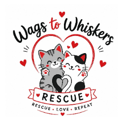 shelter logo