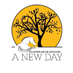shelter logo