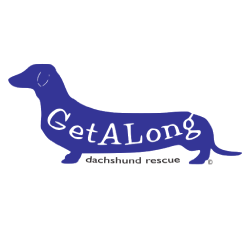 shelter logo