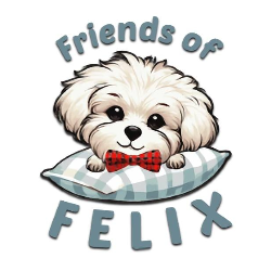 shelter logo