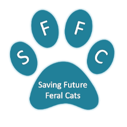 shelter logo