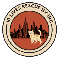 shelter logo