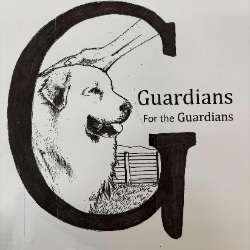 shelter logo