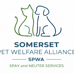 shelter logo