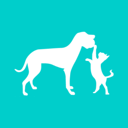 shelter logo