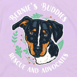 Bernie's Buddies Rescue and Advocates, Inc.