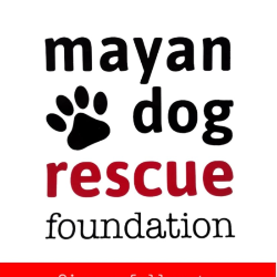 shelter logo