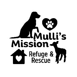 shelter logo