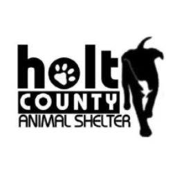 shelter logo