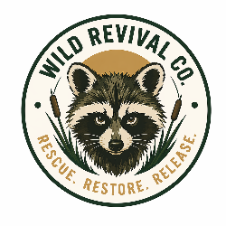shelter logo