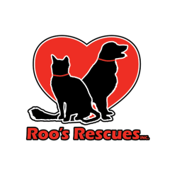 shelter logo