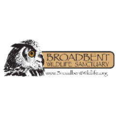 shelter logo