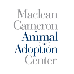 shelter logo
