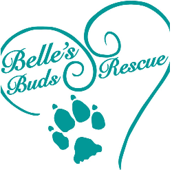 shelter logo