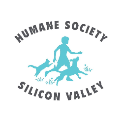 shelter logo