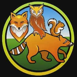 shelter logo