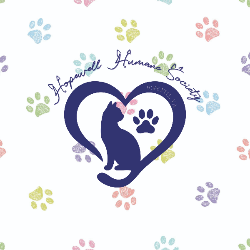 shelter logo