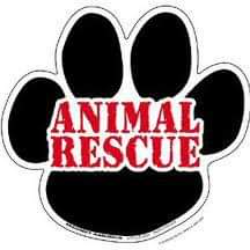 shelter logo