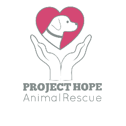 shelter logo