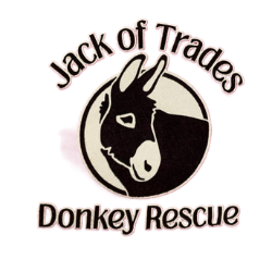 shelter logo