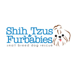 shelter logo