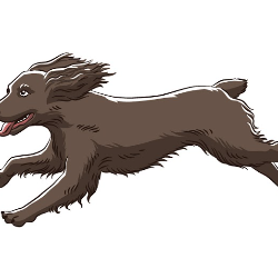 shelter logo