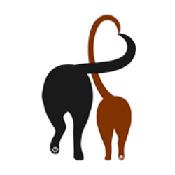 shelter logo