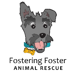 shelter logo