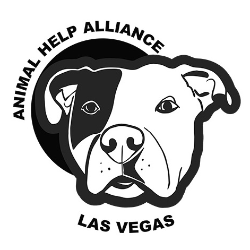 shelter logo