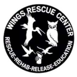 shelter logo