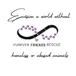 shelter logo