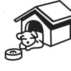 shelter logo