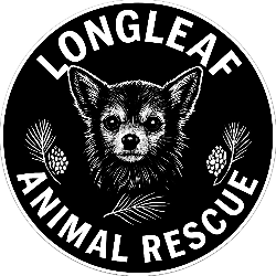 shelter logo
