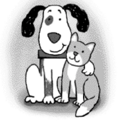 shelter logo