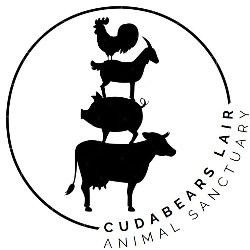 shelter logo