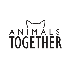 shelter logo