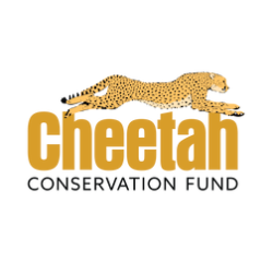 shelter logo