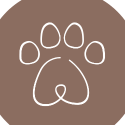 shelter logo