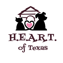 shelter logo