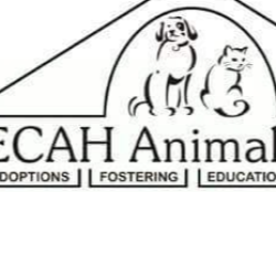 ECAH Animals, Inc