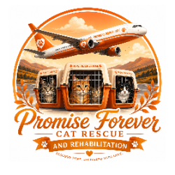 Promise Forever Cat Rescue and Rehabilitation