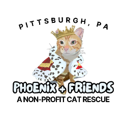 shelter logo