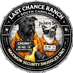shelter logo