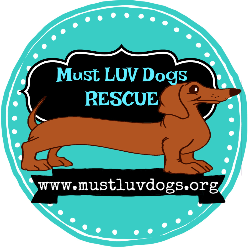 shelter logo