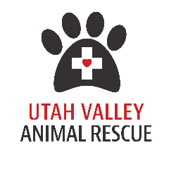 shelter logo