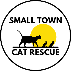 shelter logo