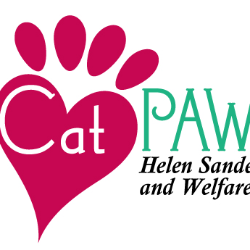shelter logo